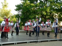 Náhled firmy